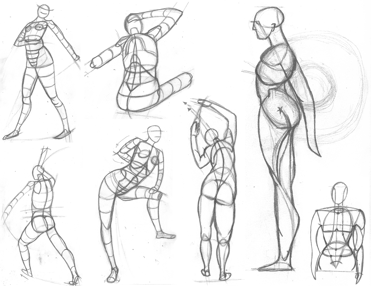 human anatomy sketch